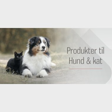 Hund & Kat