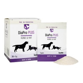 DiaPro PLUS HUND & KAT breve