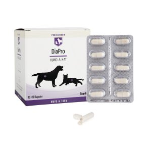 DiaPro HUND & KAT kapsler