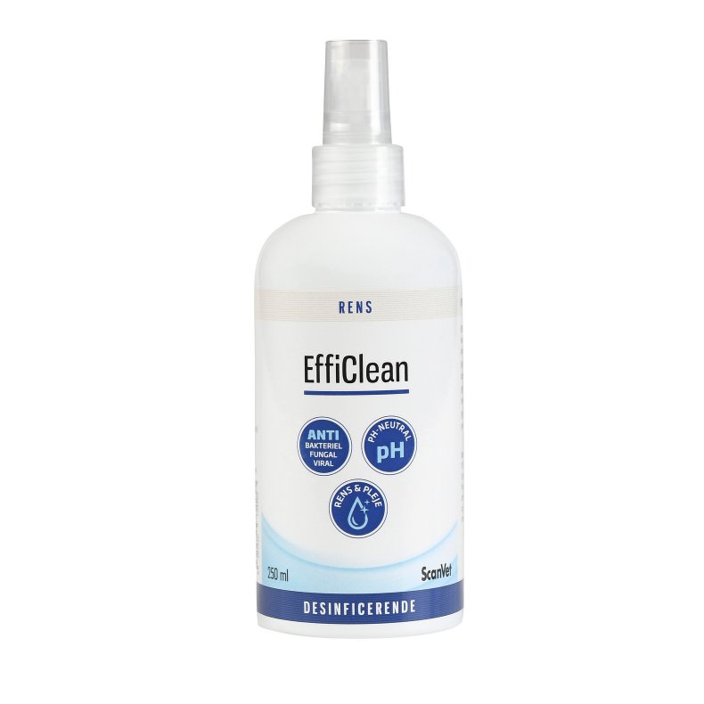 EffeClean