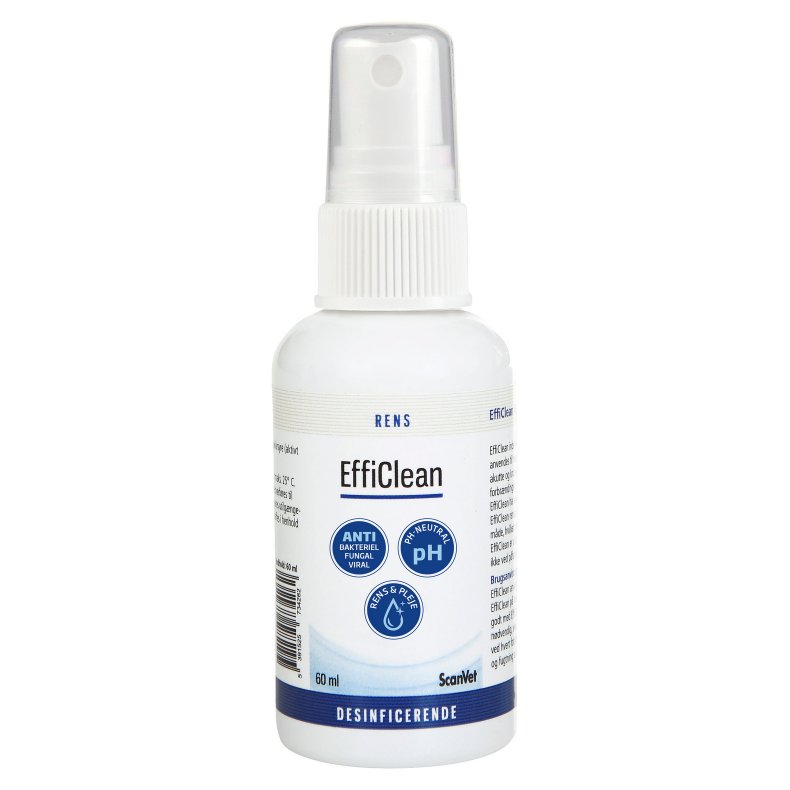 EffeClean