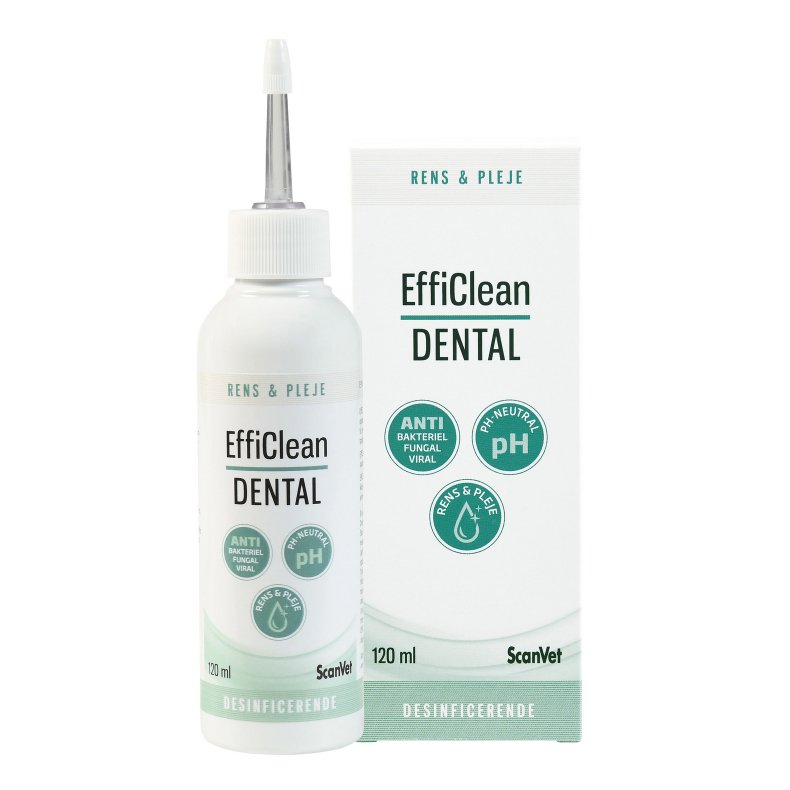 EffiClean DENTAL