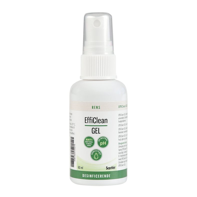 EffeClean Gel