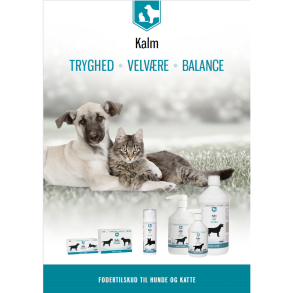 Kalm Klientbrochure