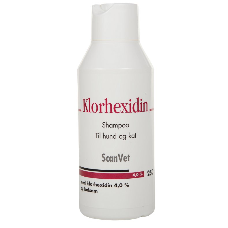 Klorhexidin shampoo 4%