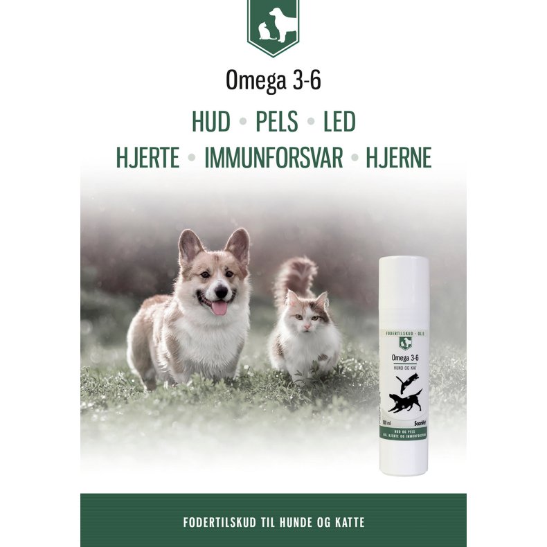 Omega 3-6 olie Klientbrochure