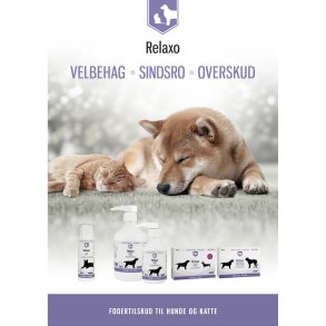 Relaxo Klientbrochure Hund & Kat