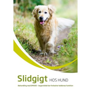 Slidgigt Brochure